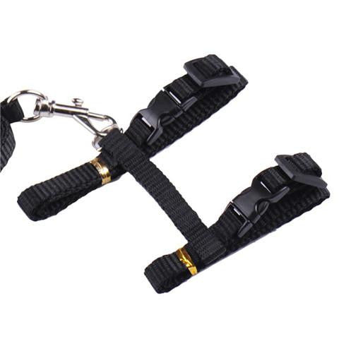 Cat Adjustable Harness and Leash