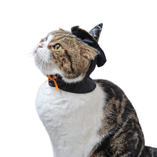 Load image into Gallery viewer, Cat wizard Hats Costume for Halloween