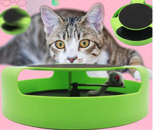 Load image into Gallery viewer, Catch the Mouse Carousel Toy