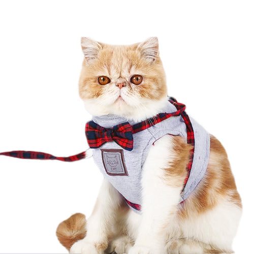 Outdoor Cats Vest Harness & Leash Set Comfortable