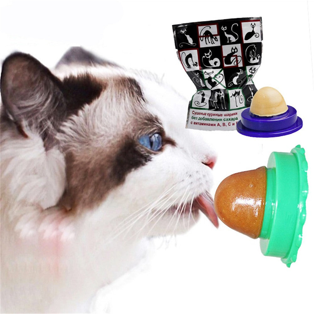 Cat Sugar Energy Ball